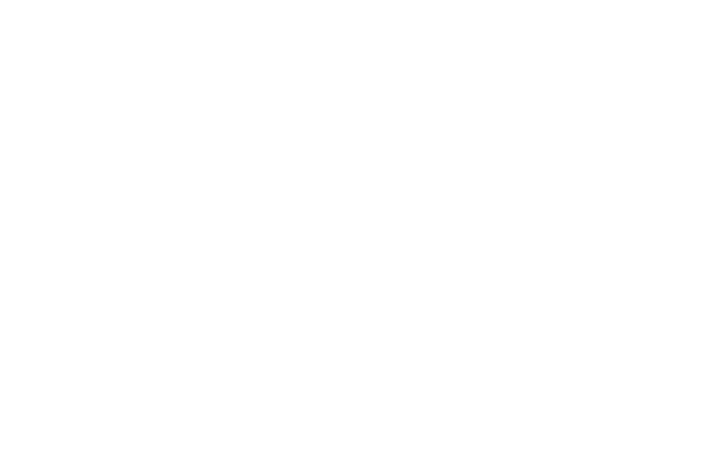 Holding SNS (Societe Nationale de Siderurgie)